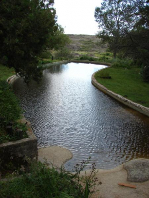  Espejo Escondido  Танти